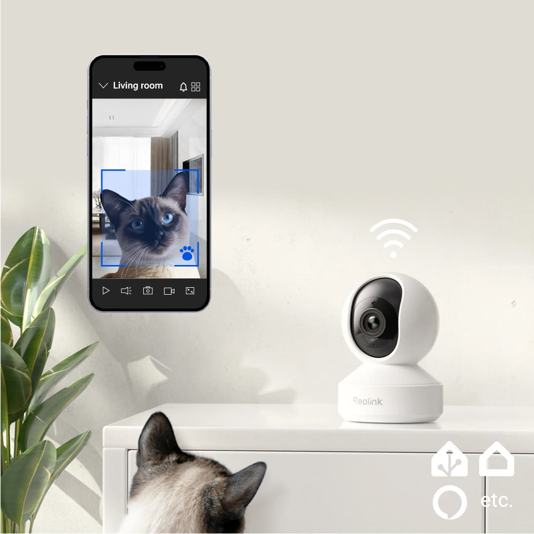 Smart PTZ Camera with Installation & Automation